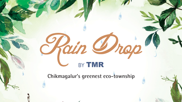 RainDrop hero Section